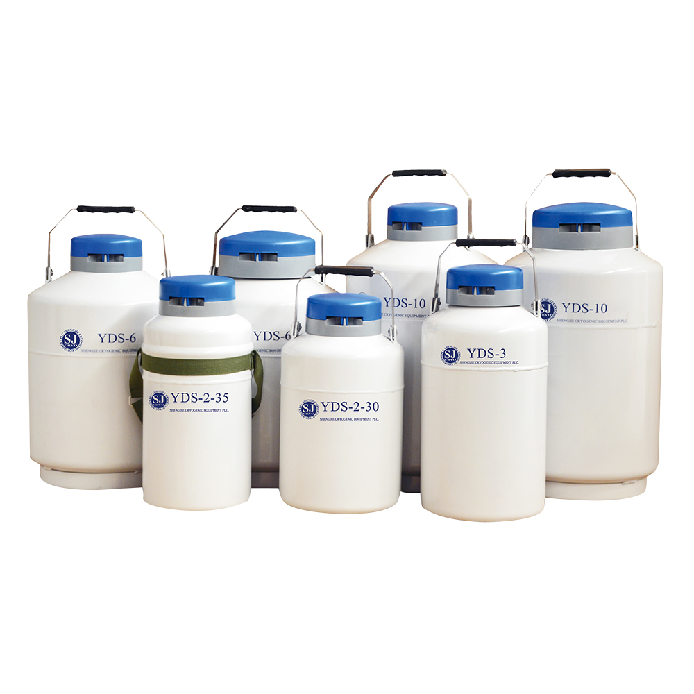 Portable storage series liquid nitrogen tank