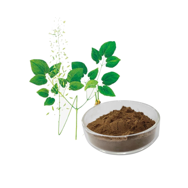 Epimedium Extract 