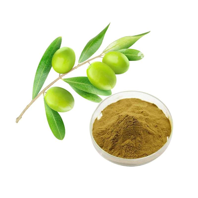 Olive Leaf Extract