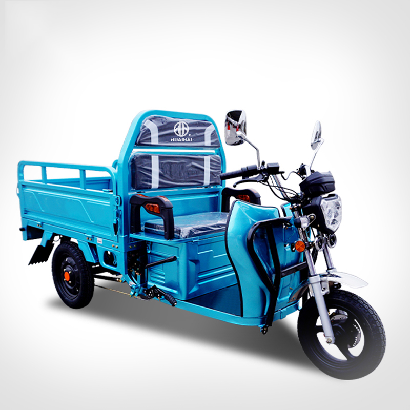 48V 500W Wholesale 3 Wheeler Cargo Electric Tricycles for Adults