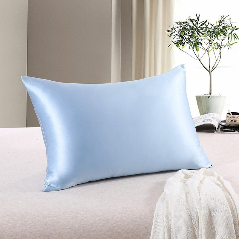 22MM Queen Size Silk Pillowcase EIT-031