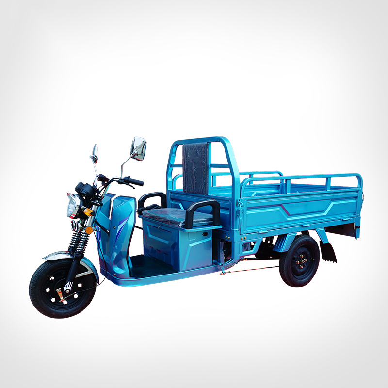 60V1000W Motor Cargo Electric Tricycles Electric Powerful Delivery Tuk Tuk for Adults