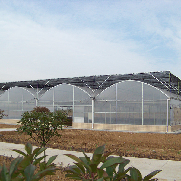 Thin Film Greenhouse