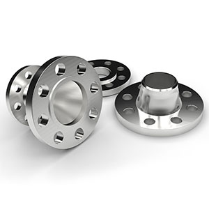 Titanium Flange