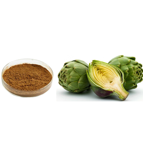 Artichoke Extract