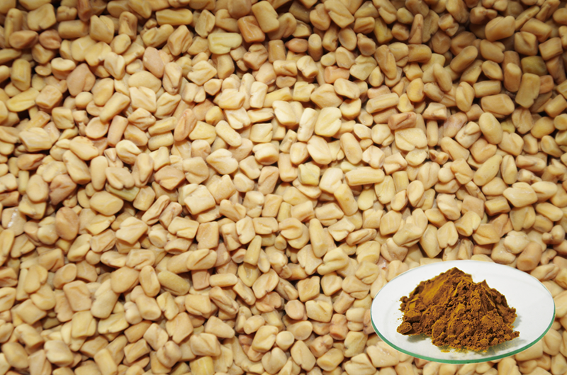 Fenugreek Total Saponins