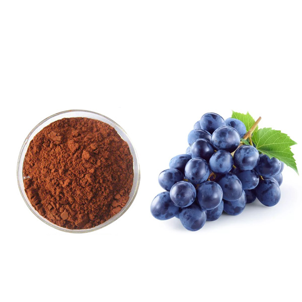 Grape Seed Extract