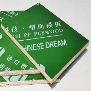 Green Plastic Faced Plywood/PP Plastic Coated Plywood Panel