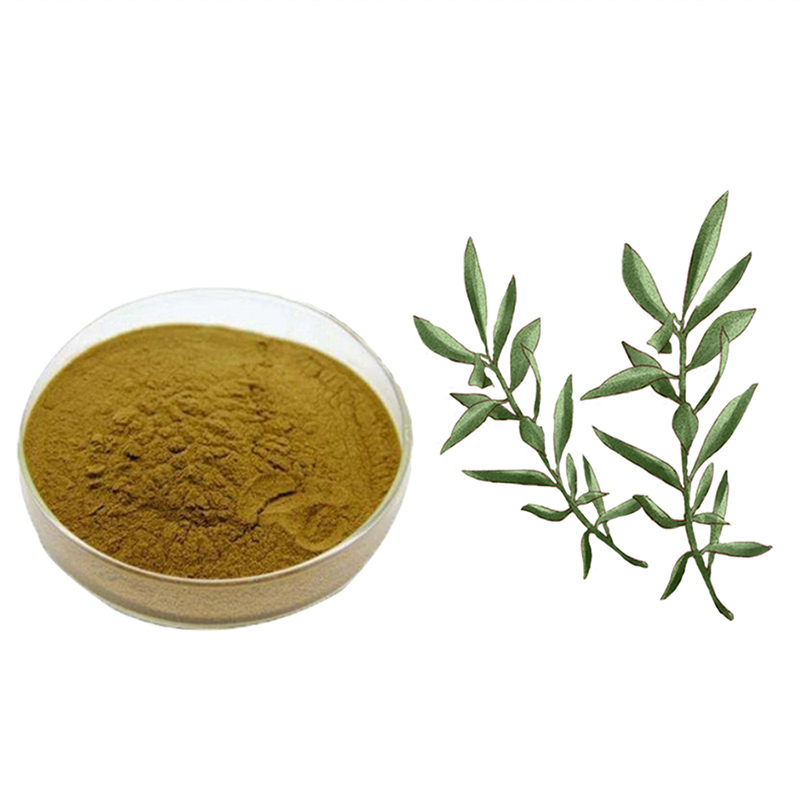 Olive Leaf Extract