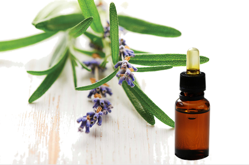 Rosemary essential oil