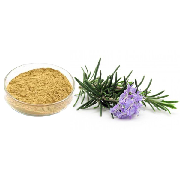 Rosemary Extract