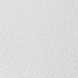 SAND FINISH CEILING