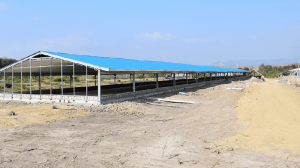 Poultry Farm—-Steel Structure Broiler House