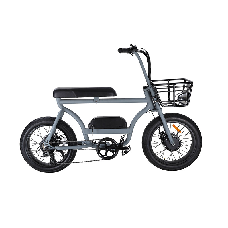 Electric Bicycle with dual long seat fat tyre moped ebike