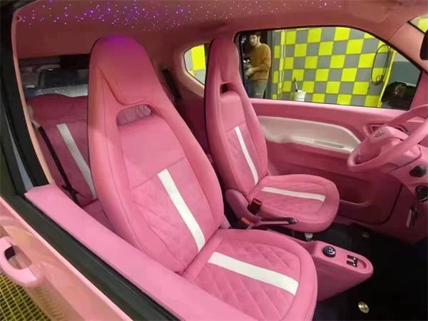 car seat cover-4-2