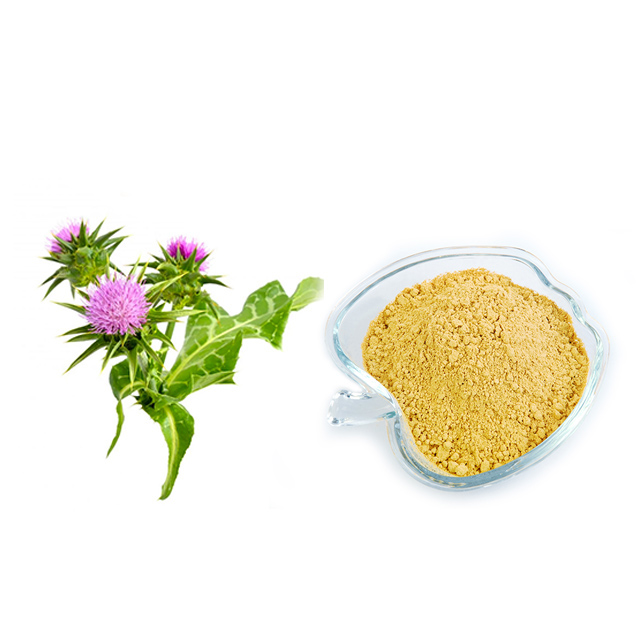 Milk Thistle Extract   Milk Thistle Extract 80% Silymarin Test by UV