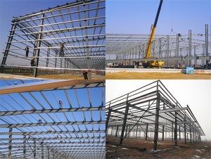 Steel Structure Building