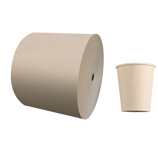 Raw Material bamboo pulp paper roll for cups 150g-320g