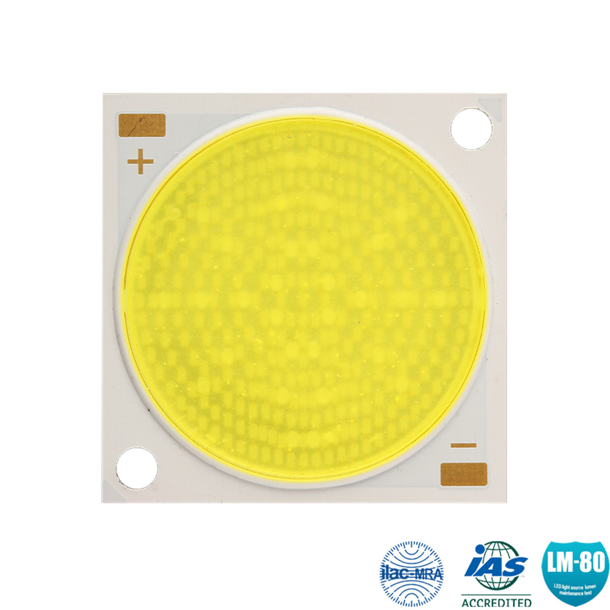 new cob  led 50w 100w 150w 200 watt 300W COB with superior output efficacy and reliability