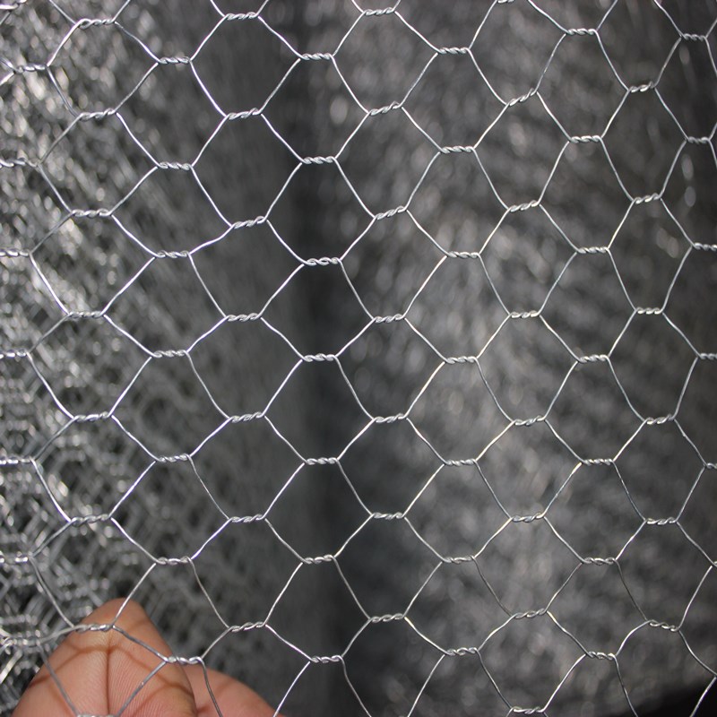 Chicken Wire Mesh