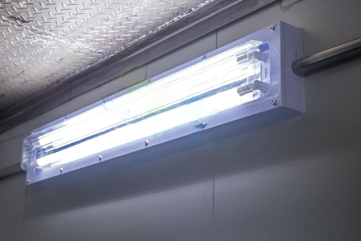 UV lamp disinfection