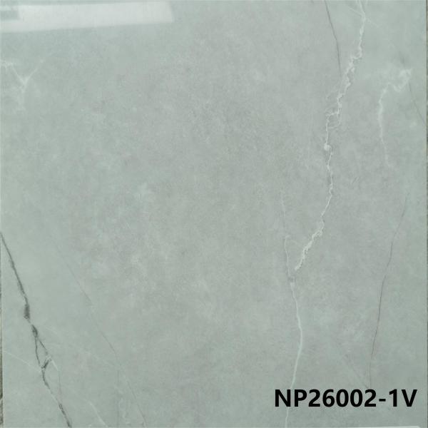 NP26002-1V