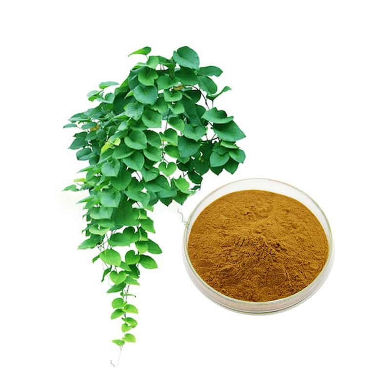 Ivy leaf extract