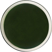 Raw material – Certified Organic Chlorella Powder