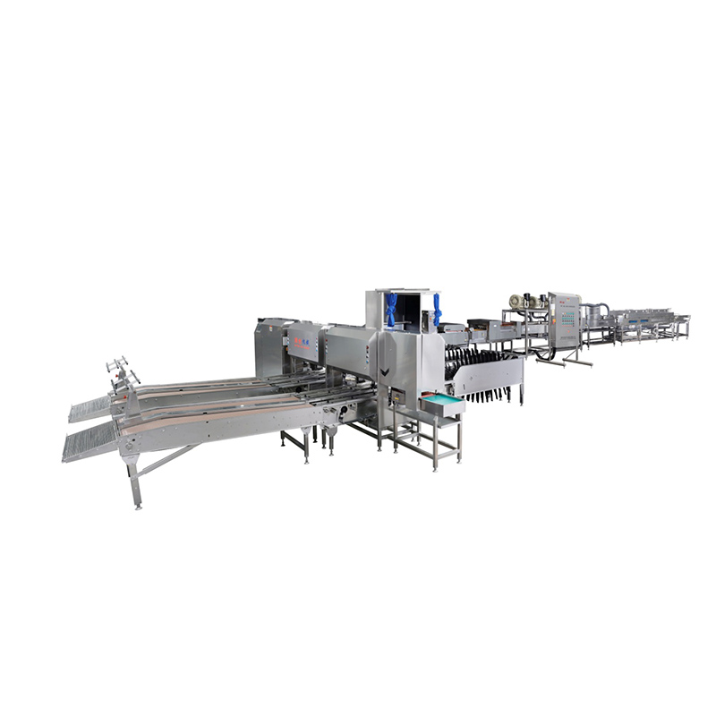 Egg Washing Grading Packing Machine