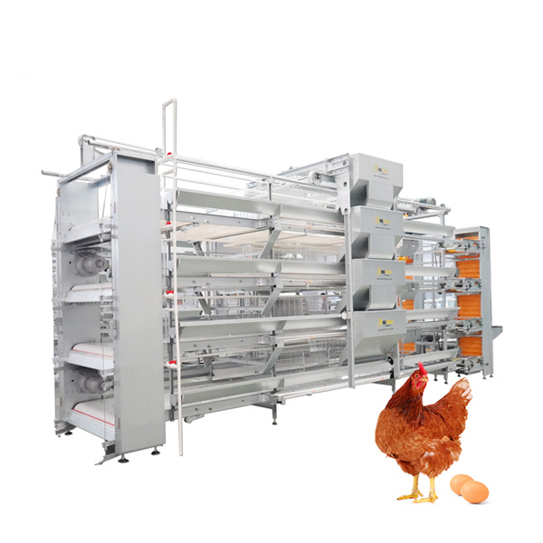 Automatic H Type Poultry Farm Layer Chicken Cage