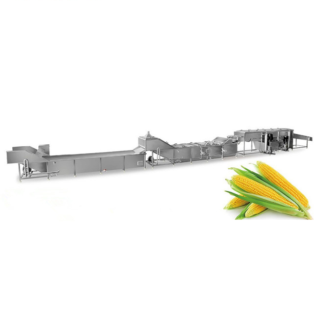 Corn cleaning and blanching line Featured Image