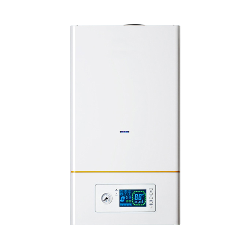 Wall Hung Gas Boiler A01 Series