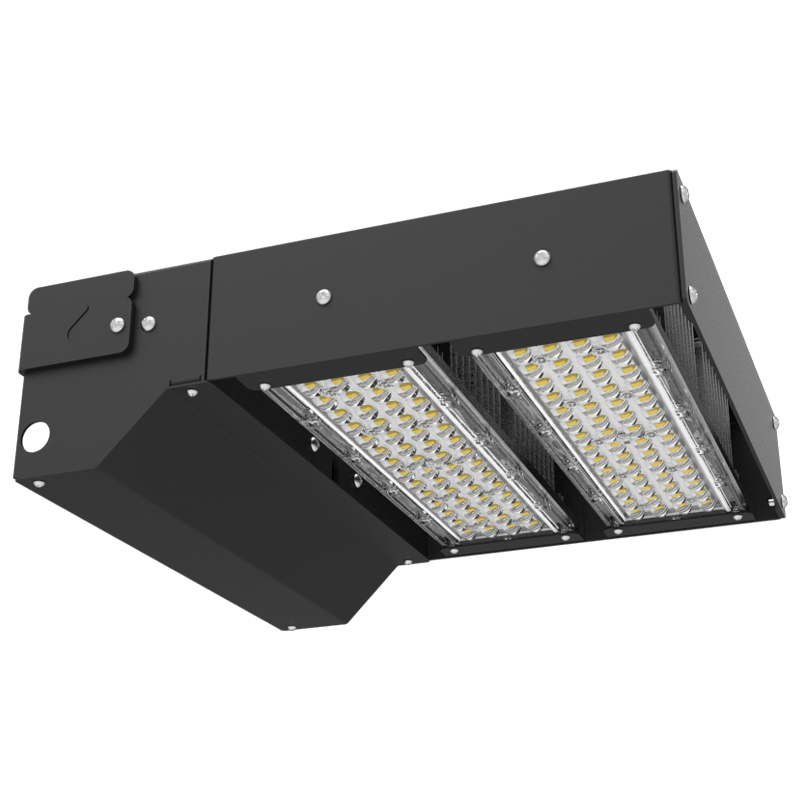 LiteProTM Rotatable Wallpack Light