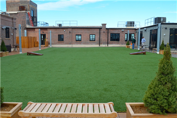 40 mm Luxury soft  DIY artificial grass Featured Image