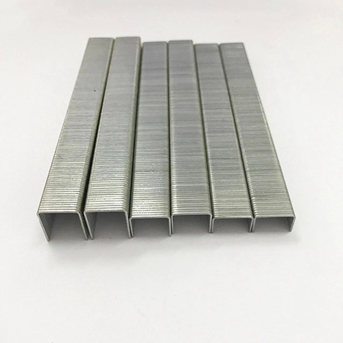 Galvanized Steel Nail 8010 Staple